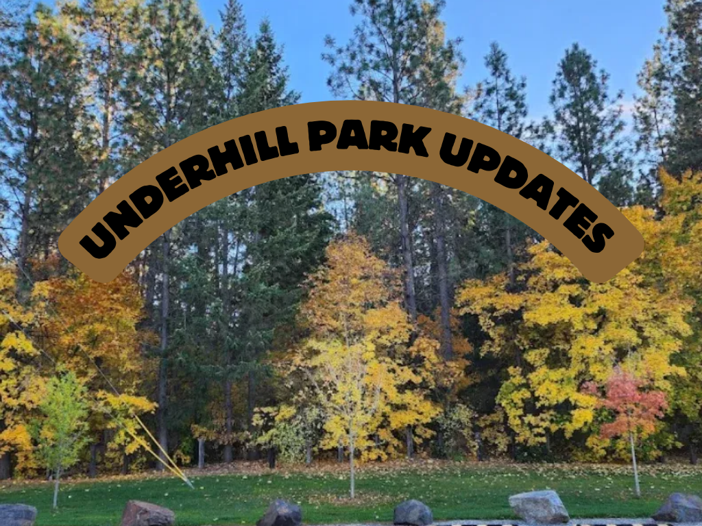 Image: Photo of trees in Underhill Park with text that says: Underhill Park Updates